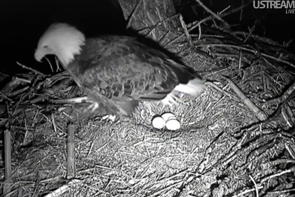 ScreenHunter_01 Mar. 24 07.05.jpg